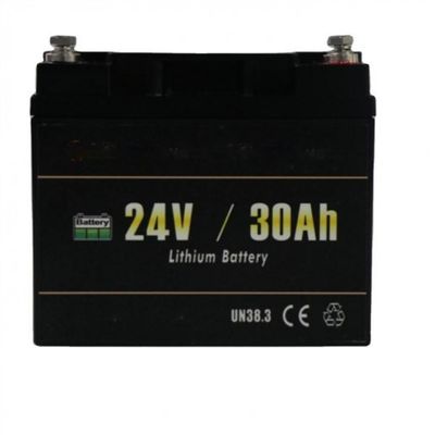 768Wh 25A Golf Buggy 24V 30Ah Lithium Ion Battery 3000 Cycles