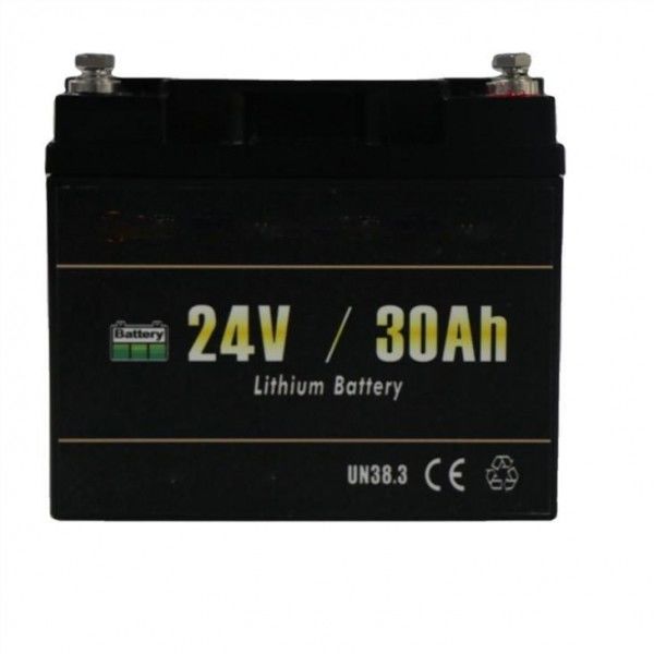 768Wh 25A Golf Buggy 24V 30Ah Lithium Ion Battery 3000 Cycles